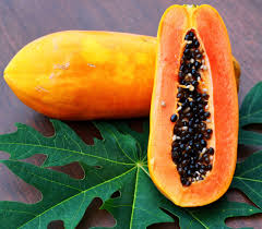 Image result for Carica papaya