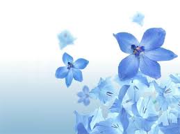 1920x1080 best hd wallpapers of flowers, full hd, hdtv, fhd, 1080p desktop backgrounds for pc & mac, laptop, tablet, mobile phone. Blue Flowers Wallpapers Wallpaper Cave
