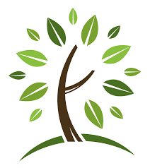 Tree Logo Png How To Memorize Things Forest School Tree Logos