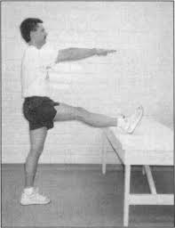 It acts as the strongest flexor of the hip. Stretching Procedure For Hamstring Muscles Download Scientific Diagram