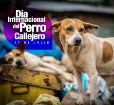 Calle 60 # 576 x 73, centro. Dia Internacional Del Perro Callejero Steemkr