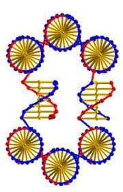 First Step Toward A General Method Of Creating Artificial Self Replicating Materials Of Arbitrary Structure And Composition Starting With Structural Dna Seeds And Tiles Nextbigfuture Com