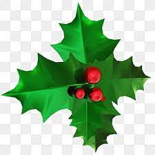 Green Holly Leaves Decoration With Red Berries Holly Leaves Clipart Holly Berries Png Transparent Clipart Image And Psd File For Free Download Christmas Holly Leaf Decor Holly Leaf