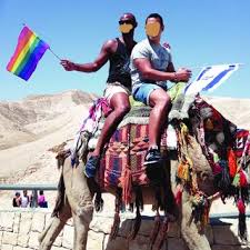 To take satisfaction in, be proud of, or highly value something one owns, has done, or is renowned for. Pdf Touring And Obscuring How Sensual Embodied And Haptic Gay Touristic Practices Construct The Geopolitics Of Pinkwashing Touring And Obscuring How Sensual Embodied And Haptic Gay Touristic Practices Construct The Geopolitics Of