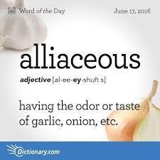 What Alliaceous Foods Do You Enjoy Eating Weird Words Uncommon Words Words