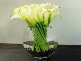 Flatiron Calla Lily Flower Delivery Calla