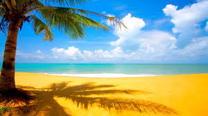 We did not find results for: Summer Wallpapers 1920x1080 81 Background Pictures