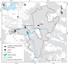 Restoration of natural herbaceous vegetation and spatial variability of  forest structure by gradual removal of Scots pine from former plantations