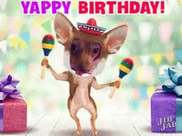 Birthday Meme Happy Birthday Gif Funny For Her Https Encrypted Tbn0 Gstatic Com Images Q Tbn 3aand9gcs 0qmn0x4coljsqpxnua7w5limrfrhg5omga Usqp Cau