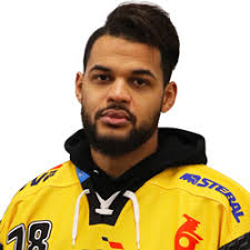 Po delší době doma. Hradec přivítá litvínovskou Vervu