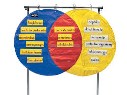 School Smart Venn Diagram Pocket Chart 3 Circles 4 X 35 1 2 Inches 23 Pockets