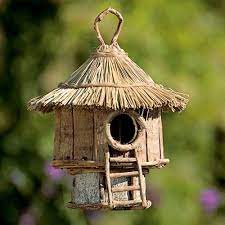 We clean and sell premium quality of house bird nest. Bird House In Mumbai à¤¬à¤° à¤¡ à¤¹ à¤‰à¤¸ à¤® à¤¬à¤ˆ Maharashtra Bird House Price In Mumbai