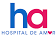 Logo de Hospital de Amor