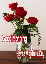 Check spelling or type a new query. 151 Good Morning Romantic Red Rose Images And Pics Best Status Pics