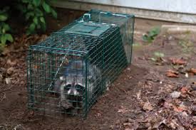 Nuisance wildlife rangers, llc (nwr) provides professional wildlife / animal removal and pest control services throughout florida. Pricing Wildlife Jobs Pct Pest Control Technology