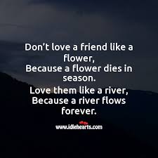 Maybe you would like to learn more about one of these? Don T Love A Friend Like A Flower Idlehearts