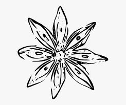 Maybe you would like to learn more about one of these? Simple Flower Designs Black And White Outline Flowers Vector Png Transparent Png Transparent Png Image Pngitem