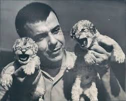 1961 Press Photo Robert Duerr Holds Cute Baby Lion Cubs Como Park Zoo MN