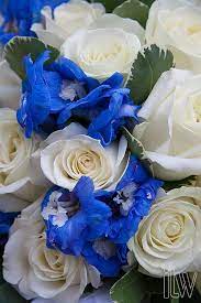 Flowers, petals & garlands └ wedding supplies └ home, furniture & diy all categories antiques art baby books, comics & magazines business, office & industrial cameras & photography cars, motorcycles & vehicles clothes, shoes & accessories coins collectables computers/tablets. Blue Wedding Flowers