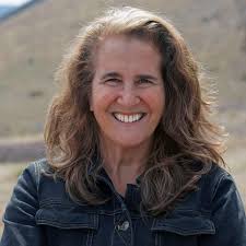 Climate activist Diana Bray joins crowded Democratic primary for Gardner's  US Senate seat