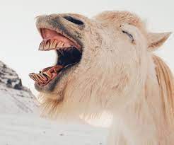 Boogie tanzen tanzen lustige kurzvideos lustige filme lustige videos zum totlachen freude am tanzen lustige bilder sprüche leben lustig lustige tanzvideos. 10 Super Lustige Comedy Podcasts Einmal Schlapplachen Bitte