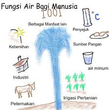 Check spelling or type a new query. Fungsi Dan Peran Air Bagi Kehidupan Manusia