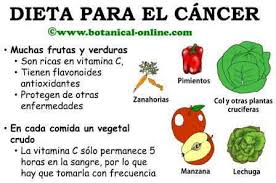 Resultado de imagen para medicina natural contra el cancer