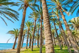 Portal de spain travel health, acceso al formulario online (nuevo, continuar uno creado con anterioridad o recuperar el código qr sanitario) y faq. Vergesst Nicht Vor Reisen Nach Spanien Das Online Formular Auszufullen