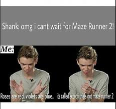 The Maze Runner Maze Runner Memes Showing 1 11 Of 11