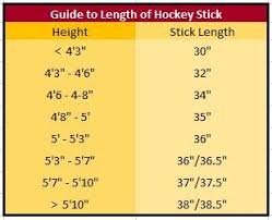 Things To Know Before You Choose A Hockey Stick Worksop