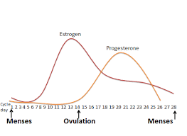 What Is A Normal Day 21 Progesterone Level On Clomid