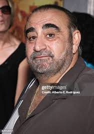 629 Hollywood Chihuahua Stock Photos, High-Res Pictures, and Images