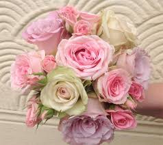 We did not find results for: Weddings Crazy Daisy Flowers Florist Buntingford
