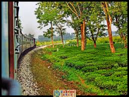 Image result for indian railway accidents gaisal