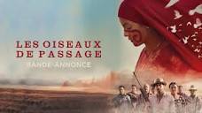 LES OISEAUX DE PASSAGE - Un film de Cristina Gallego & Ciro Guerra ...