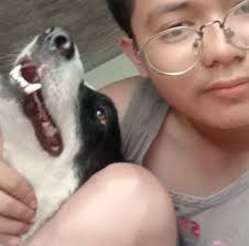 If the Thunder win their next 2 games, they will have the same 25-game  start as the 2015-16 Warriors at 24-1 😳 This team really might break that  record! 🙌 OKC's next