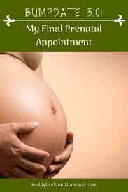 Pin On Pregnancy