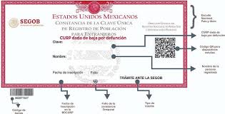 | pasos a seguir para descargar la curp en lineainstagram / @repgrocdmx. Como Dar De Baja Al Curp Curp Gratis