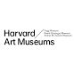 Harvard Art Museums – Harvard Art Museums at Nig... event in Cambridge, MA