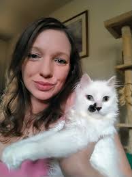 beanie baby communicating💕 (beanie was born without her front legs, but  she's totally fine health-wise! and yes she has wheels!)