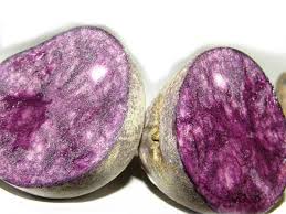 È semplice da fare, gustosissimo e, cosa da non sottovalutare le patate viola, o vitelotte, sono una specie antica e rara, originaria del perù, caratterizzate da una polpa di colore violaceo. Patata Vitelotte Varieta Di Patata A Pasta Viola Alimentipedia It