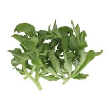 Two of the most popular genera are lampranthus and delosperma. Ice Plant 200g Pack Sold Per Pack Horeca Suppliers Supplybunny