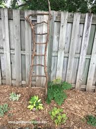 Make A Rustic Garden Ladder Trellis Using Tree Branches Garden Ladder Diy Garden Decor Ladder Trellis