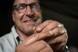 Scientists say fossils found in South African cave reveal new member of  human family tree