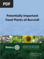 Image result for Grewia conocarpoides