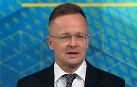 Itthon: Nagy Gábor: Kövér a nap