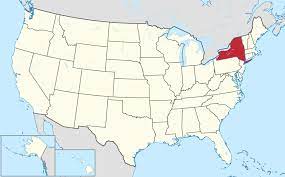 Daily cases are the number of new. New York Bundesstaat Wikipedia