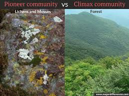 Pioneer Community Vs Climax Community In Ecological Succession Explained In 10 Simple Points With Example Ecological Succession Climax Ecology
