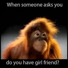 When Someone Asks You Do You Have Gf Funny Pictures Best Funny Pictures Bones Funny