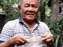 Mini-Büffel: Wenige Fossilien einer neuen Art